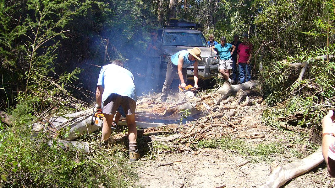 14-John & Heidi show the convoy how tree clearing is done.JPG